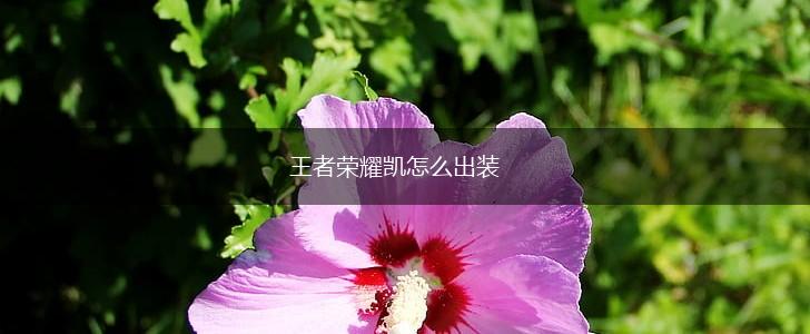王者荣耀凯怎么出装,第1张
