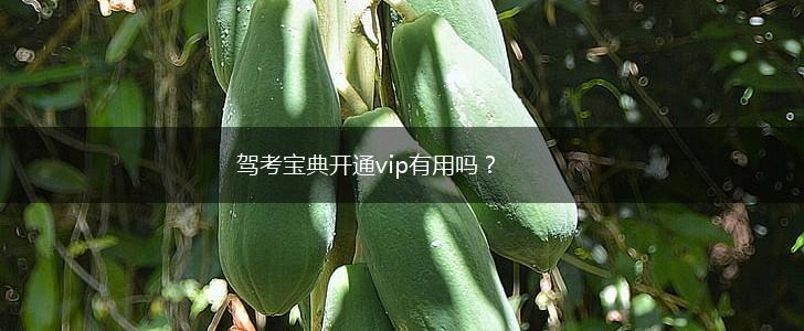 驾考宝典开通vip有用吗？,第1张