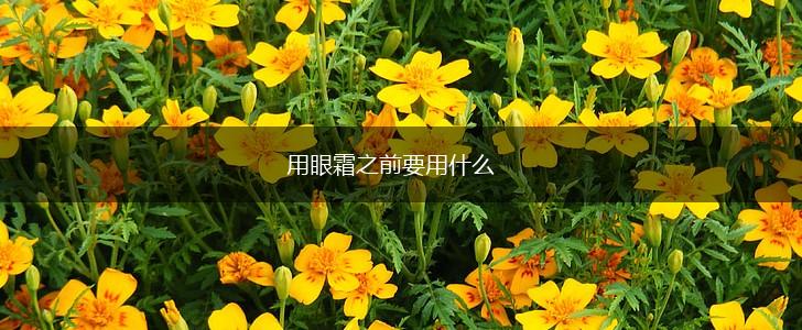 用眼霜之前要用什么,第1张