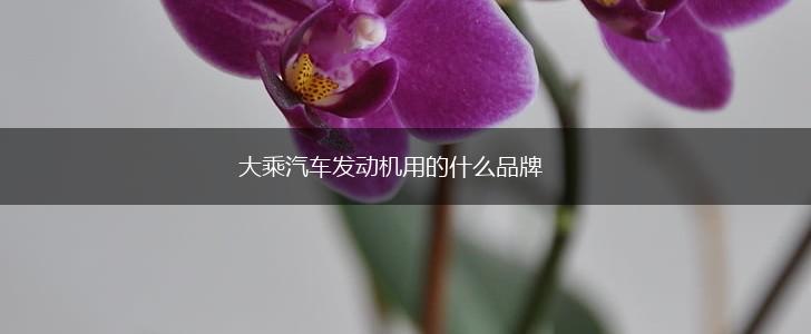 大乘汽车发动机用的什么品牌,第1张