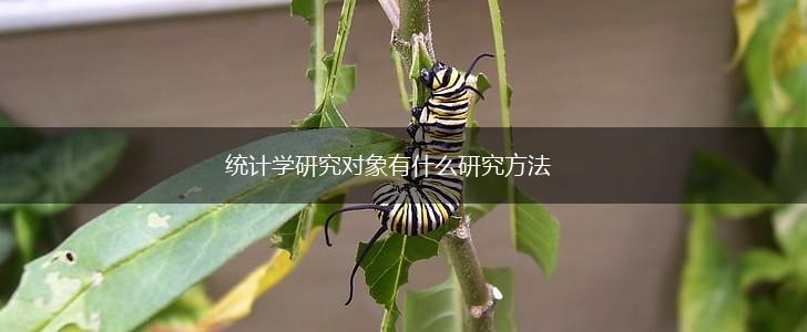 统计学研究对象有什么研究方法,第1张