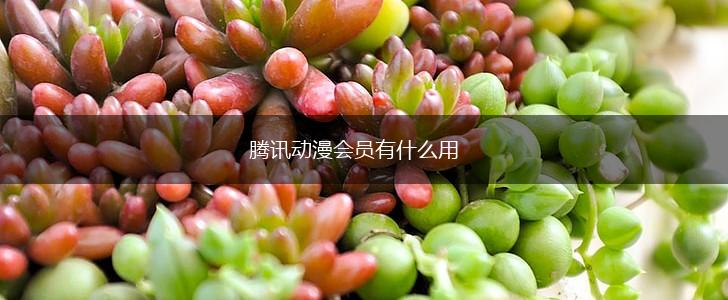腾讯动漫会员有什么用,第1张