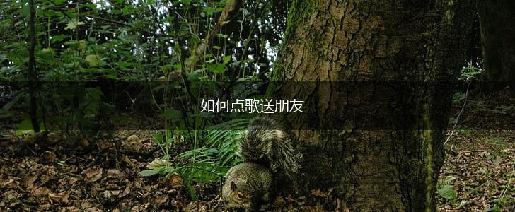 如何点歌送朋友,第1张 如何点歌送朋友,第1张