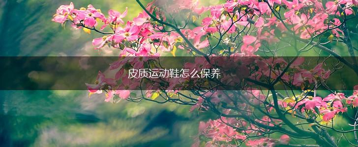 皮质运动鞋怎么保养,第1张