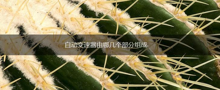 自动变速器由哪几个部分组成,第1张