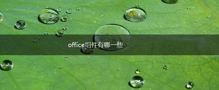office组件有哪一些,第1张