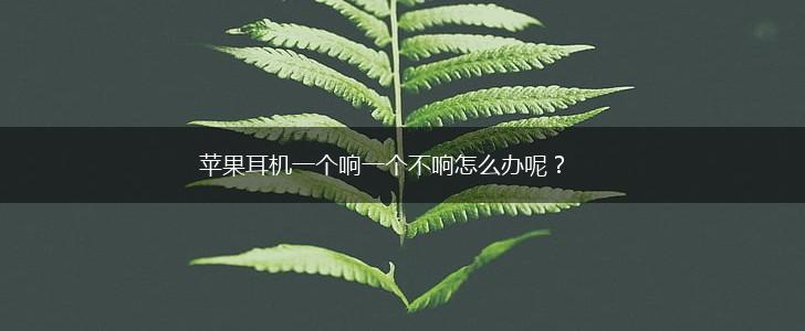 苹果耳机一个响一个不响怎么办呢？,第1张