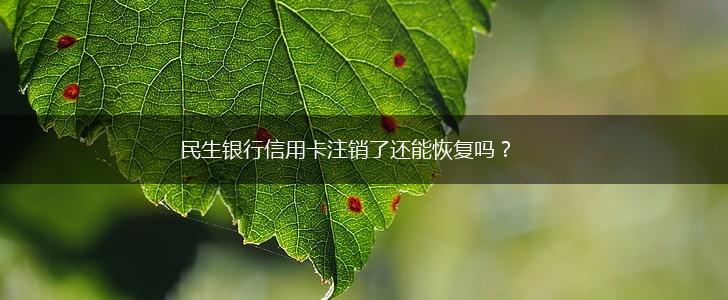 民生银行信用卡注销了还能恢复吗？,第1张