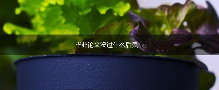 毕业论文没过什么后果,第1张