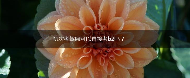 初次考驾照可以直接考b2吗？,第1张