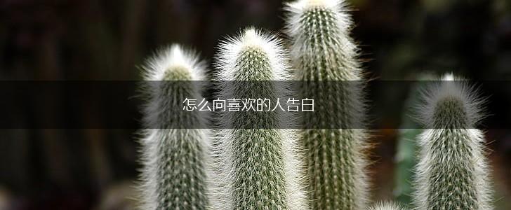 怎么向喜欢的人告白,第1张