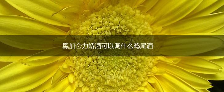 黑加仑力娇酒可以调什么鸡尾酒,第1张