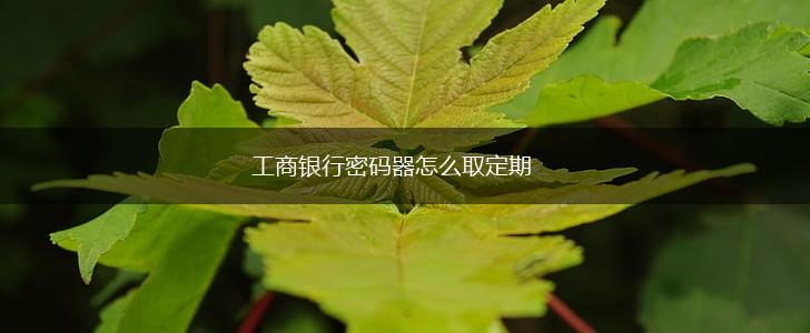 工商银行密码器怎么取定期,第1张