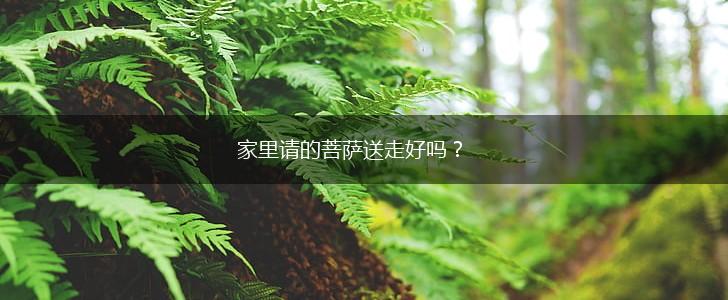 家里请的菩萨送走好吗？,第1张