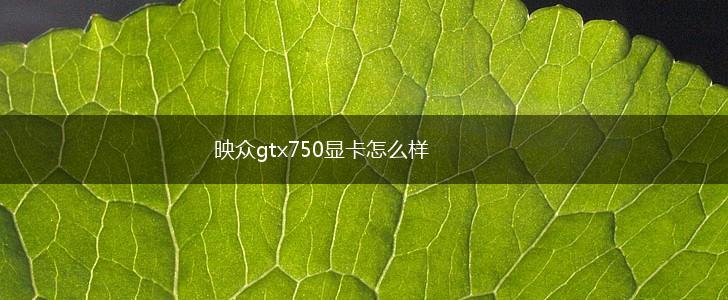 映众gtx750显卡怎么样,第1张