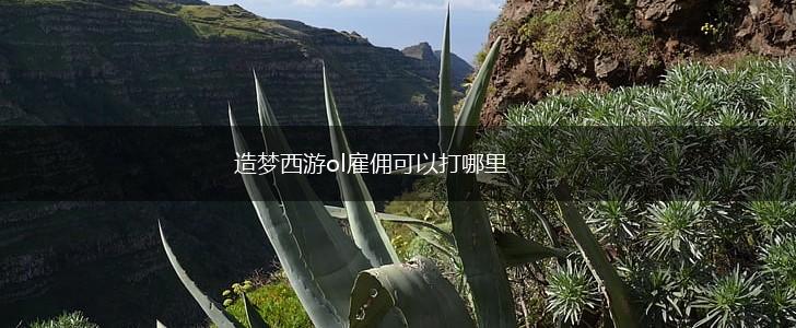 造梦西游ol雇佣可以打哪里,第1张