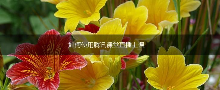 如何使用腾讯课堂直播上课,第1张