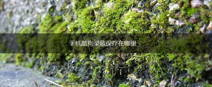 手机酷狗录歌保存在哪里,第1张