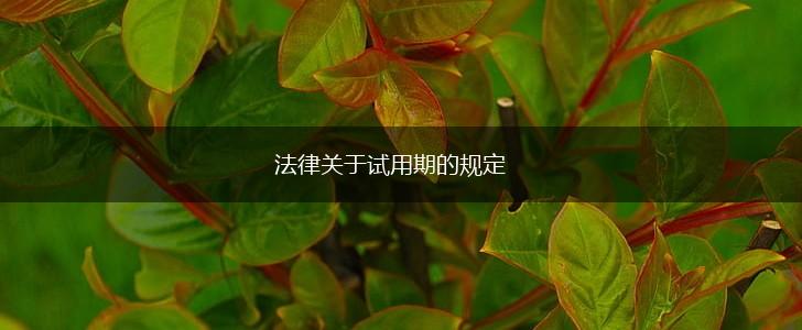 法律关于试用期的规定,第1张