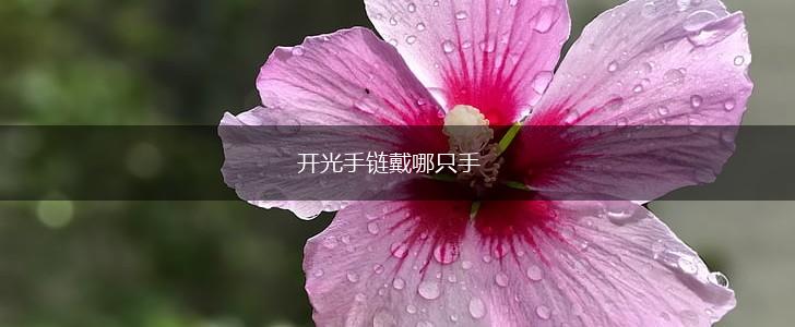 开光手链戴哪只手,第1张