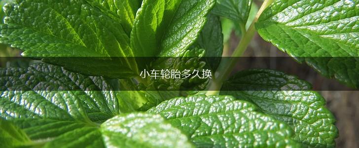 小车轮胎多久换,第1张
