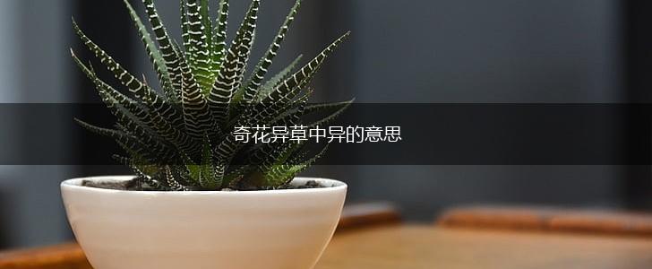 奇花异草中异的意思,第1张