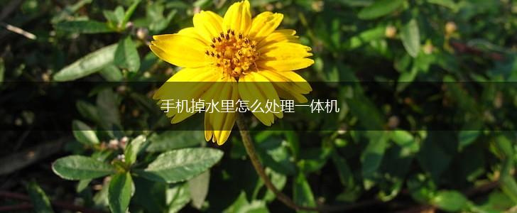 手机掉水里怎么处理一体机,第1张