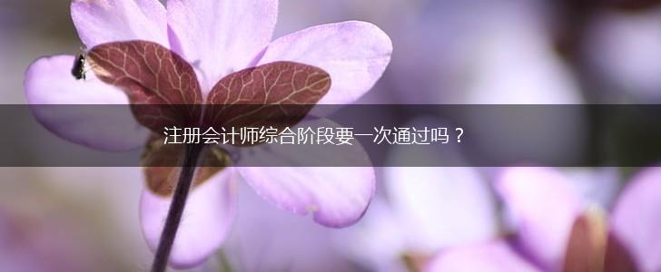 注册会计师综合阶段要一次通过吗？,第1张