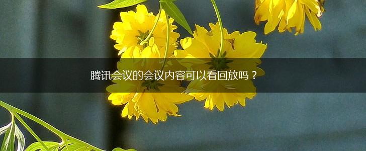 腾讯会议的会议内容可以看回放吗？,第1张