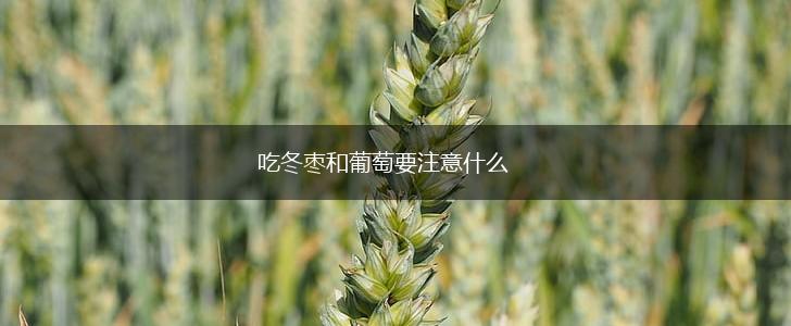 吃冬枣和葡萄要注意什么,第1张