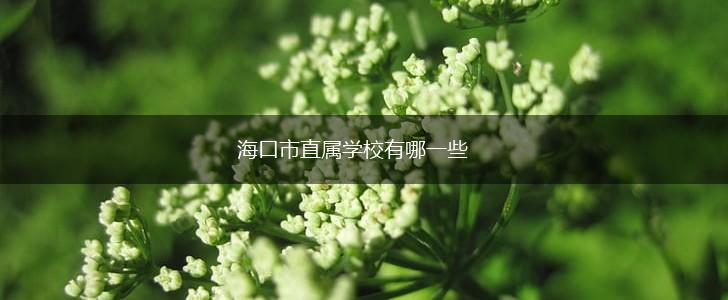 海口市直属学校有哪一些,第1张 海口市直属学校有哪一些,第1张