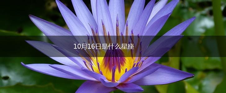 10月16日是什么星座,第1张