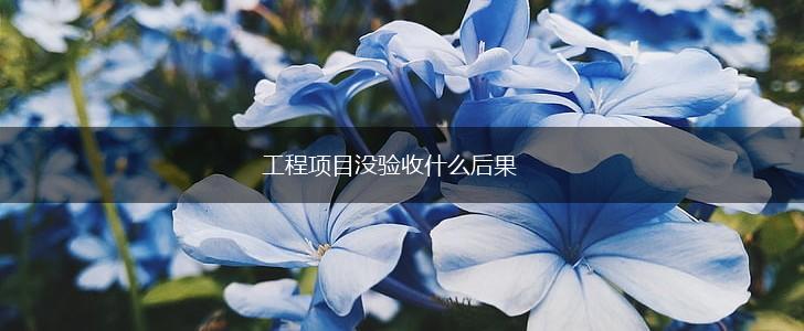工程项目没验收什么后果,第1张