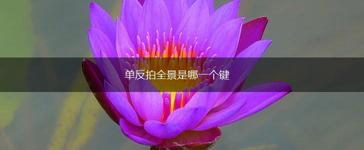 单反拍全景是哪一个键,第1张