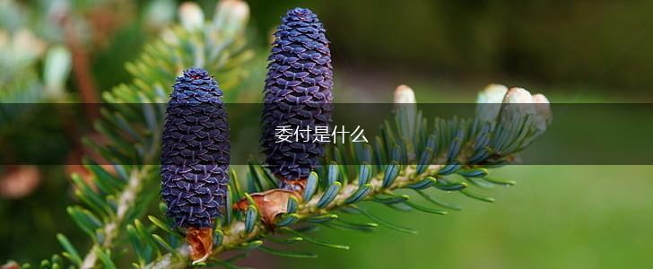 委付是什么,第1张