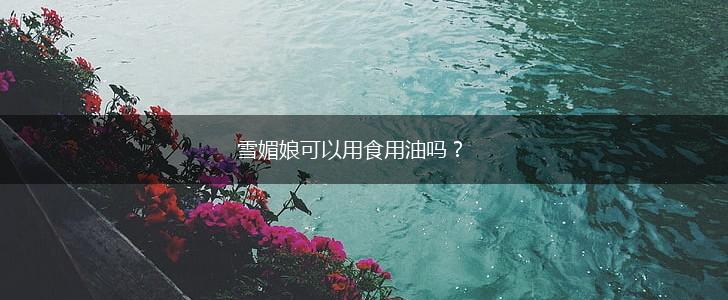 雪媚娘可以用食用油吗？,第1张
