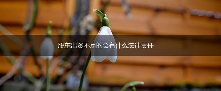 股东出资不足的会有什么法律责任,第1张