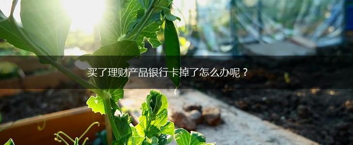 买了理财产品银行卡掉了怎么办呢？,第1张