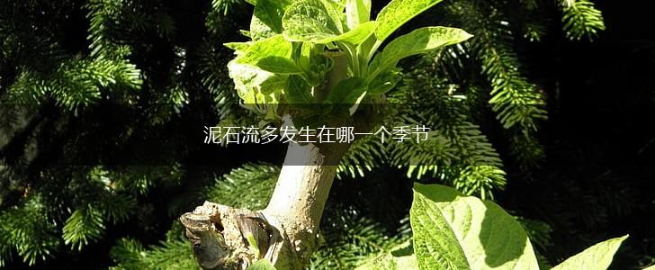 泥石流多发生在哪一个季节,第1张
