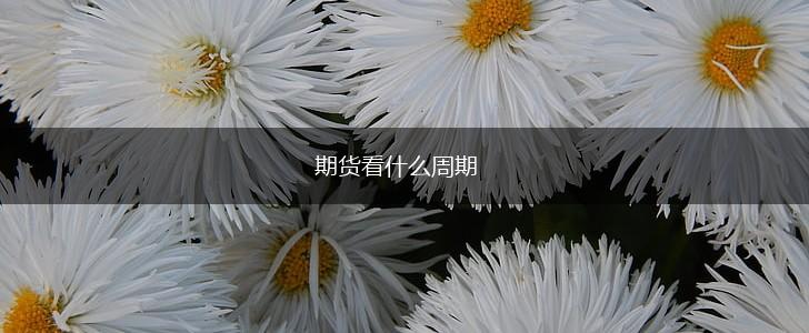 期货看什么周期,第1张