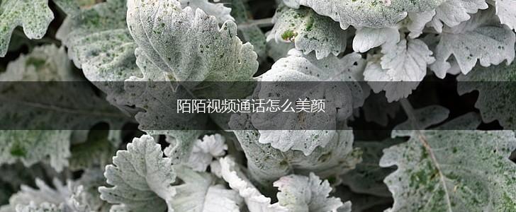 陌陌视频通话怎么美颜,第1张