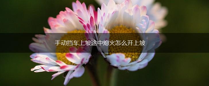 手动挡车上坡途中熄火怎么开上坡,第1张