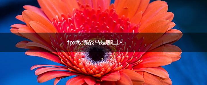 fpx教练战马是哪国人,第1张