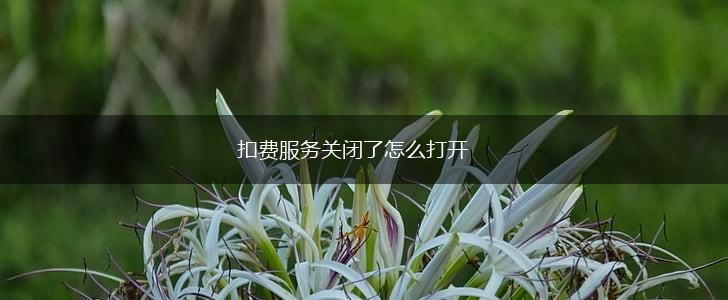 扣费服务关闭了怎么打开,第1张