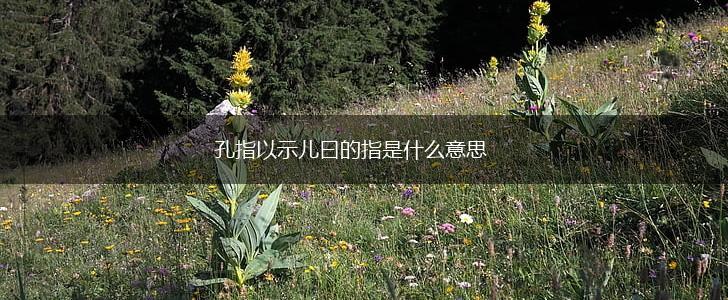 孔指以示儿曰的指是什么意思,第1张
