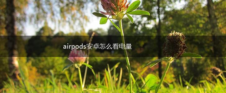 airpods安卓怎么看电量,第1张