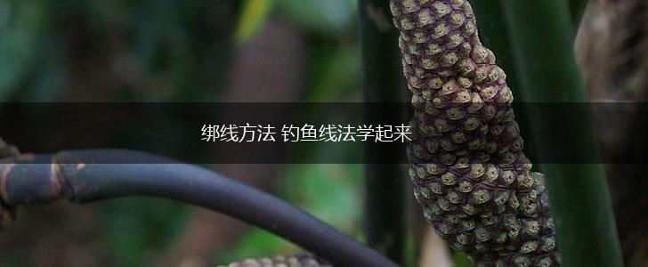 绑线方法 钓鱼线法学起来,第1张