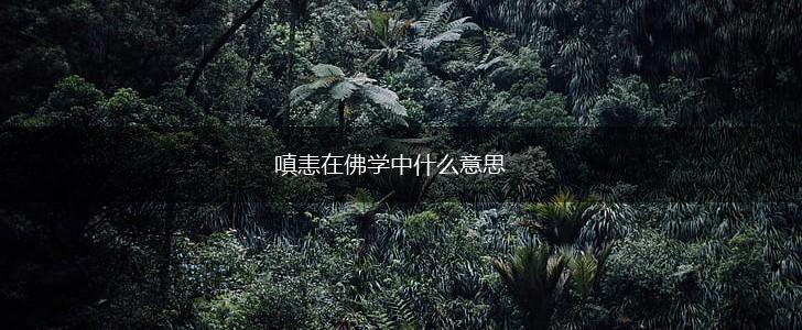 嗔恚在佛学中什么意思,第1张
