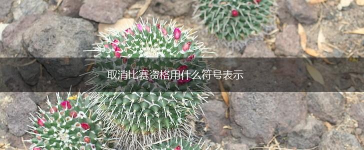 取消比赛资格用什么符号表示,第1张
