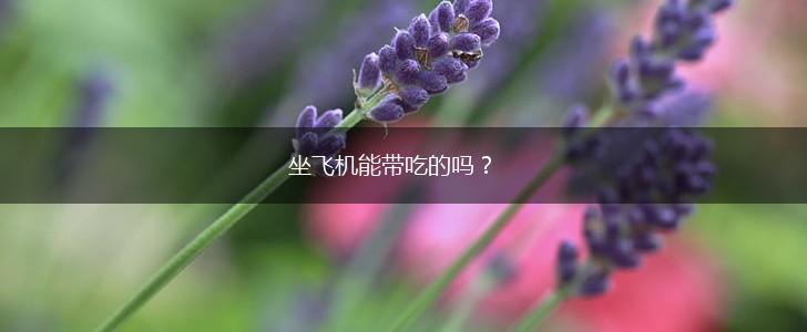 坐飞机能带吃的吗？,第1张